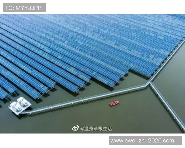 温州草根足球崛起的背后故事与未来发展展望